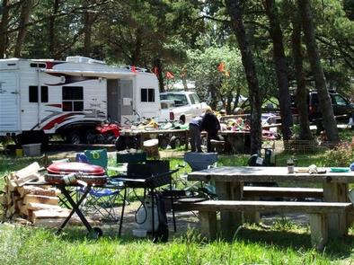 campsite with picnic table, multiple grills and pile of logs with RV trailer and truck in background