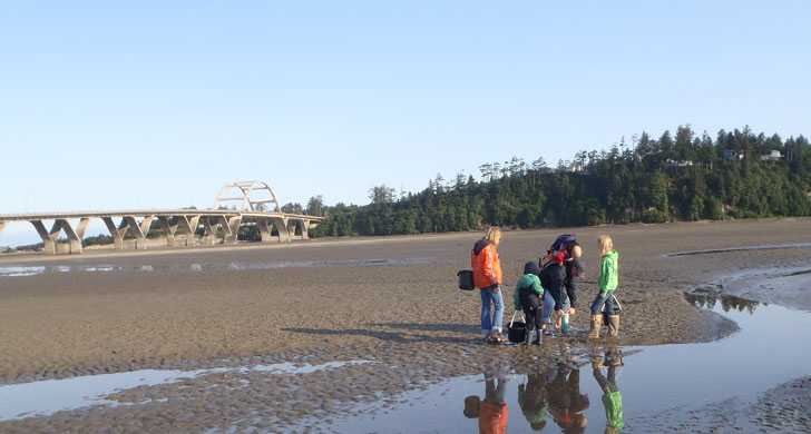 family digging for clams on a beach