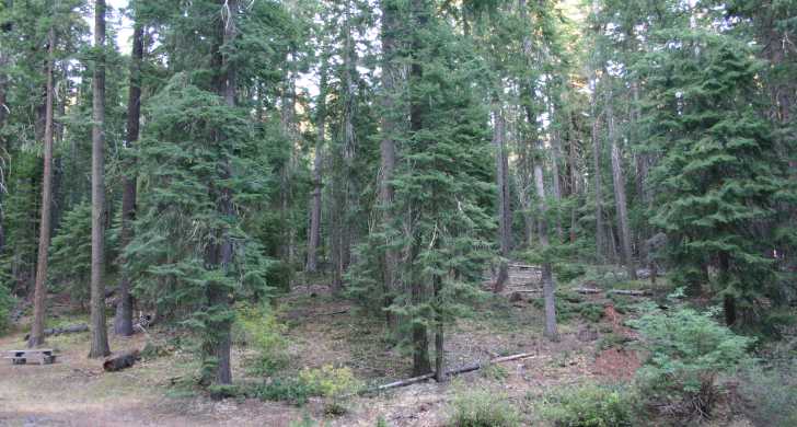 Oregon's Hidden Gem: Tub Springs State Wayside - A Nature Lover's Paradise