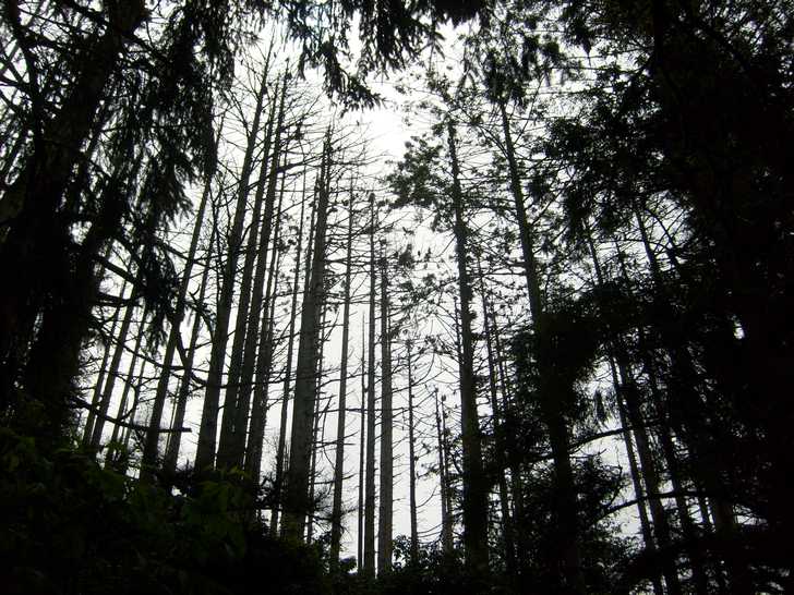 Oregon's Hidden Gem: Bolon Island Tideways State Scenic Corridor - Where the Wild Things Are!