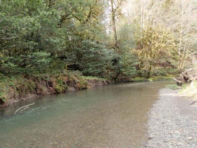 Edson Creek Group Campground