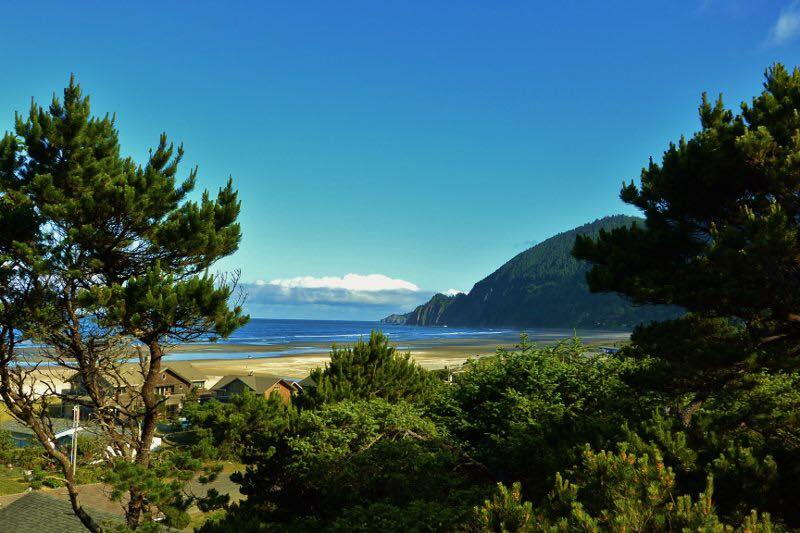 Scenic ocean view through a clearing in the trees