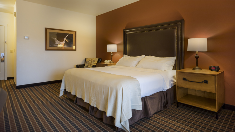 guest room at luxury resort