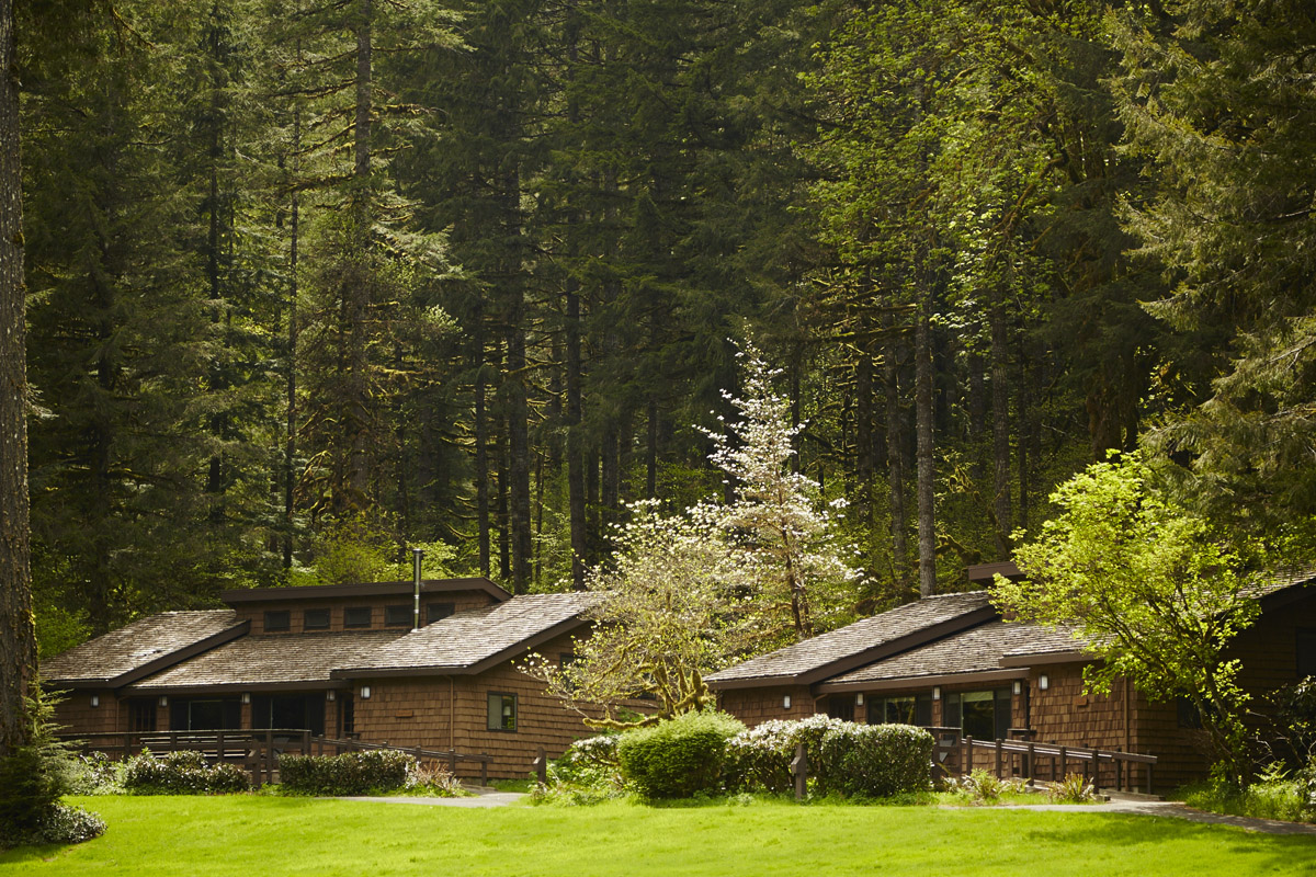 two large lodges in a the woods surrounded by large evergreen trees