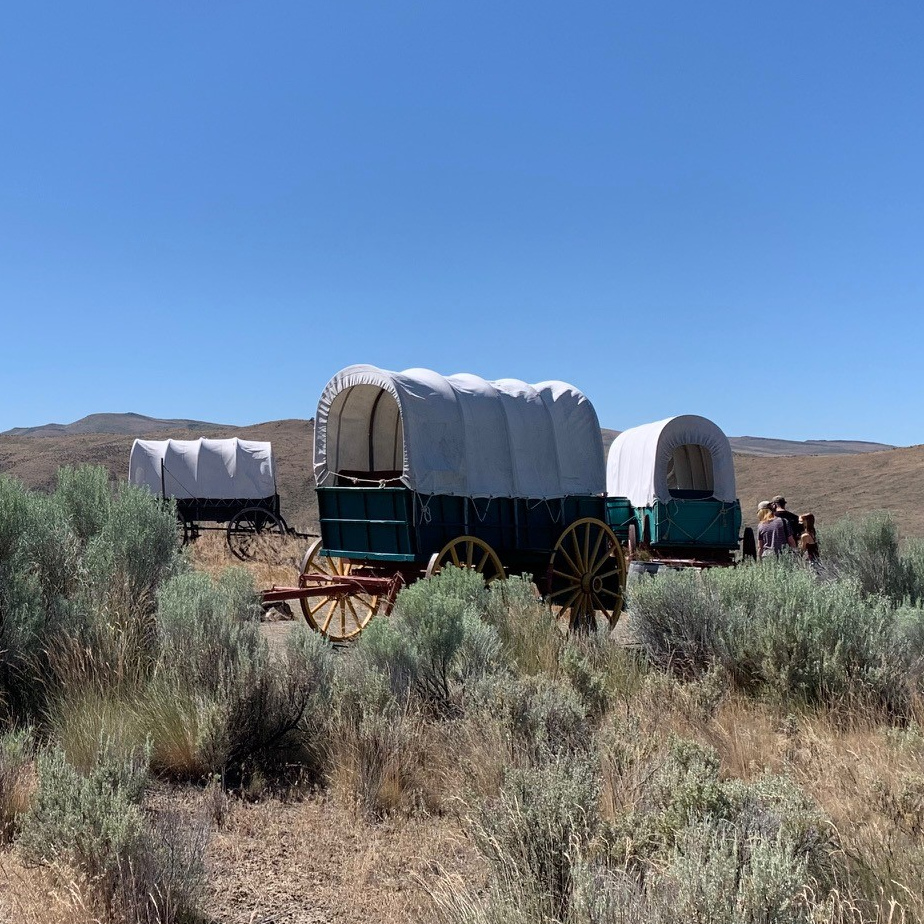 three covered wagons in desert landscape