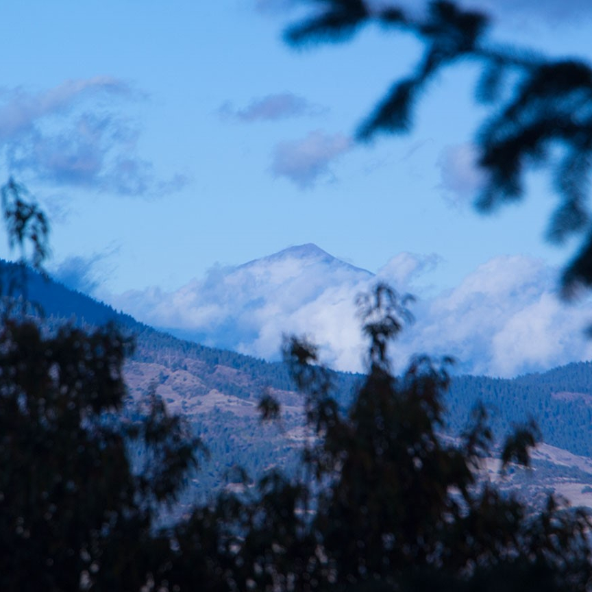 view of grizzly peak and mt. mcloughlin in background with trees and leaves in foreground