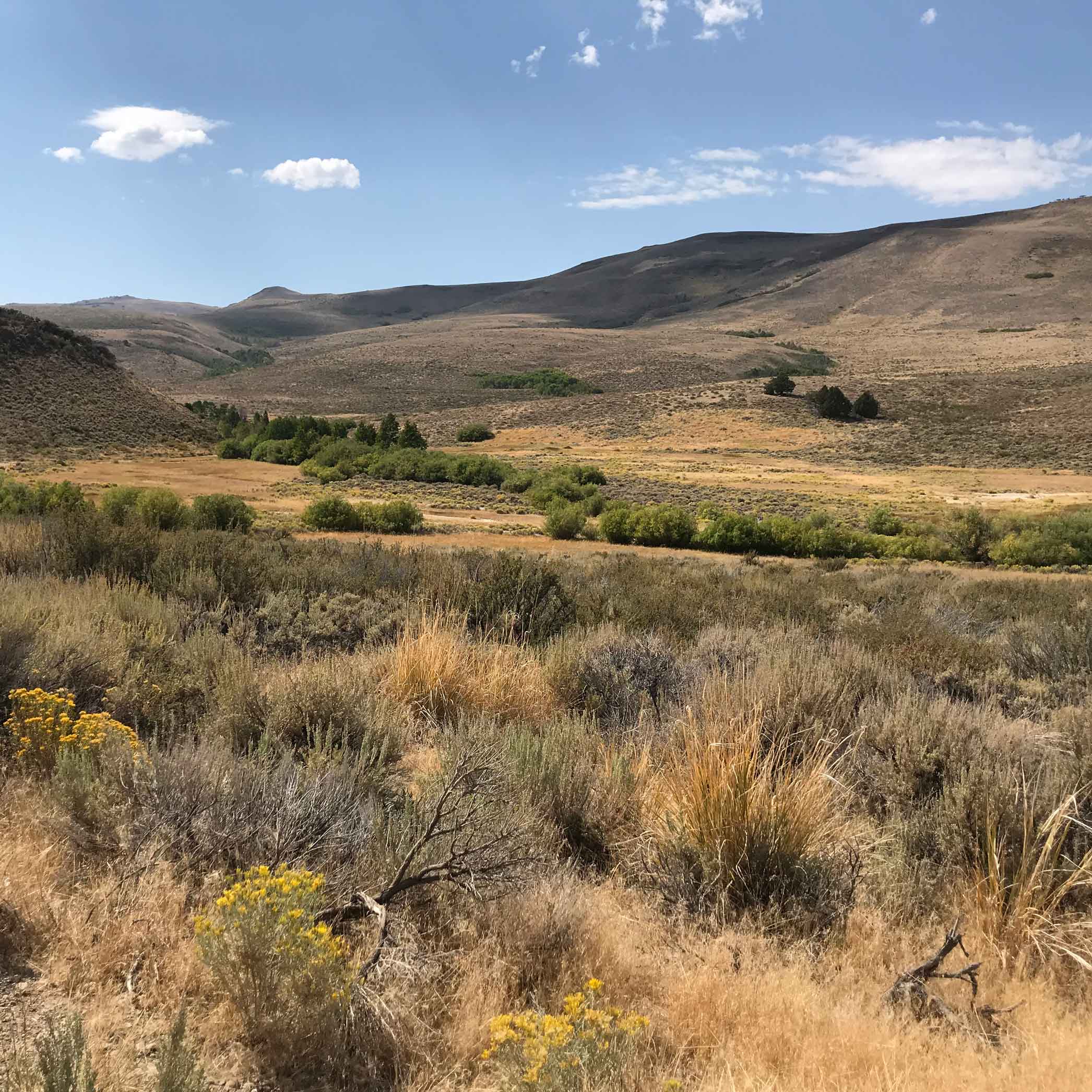 Hot Springs Campground