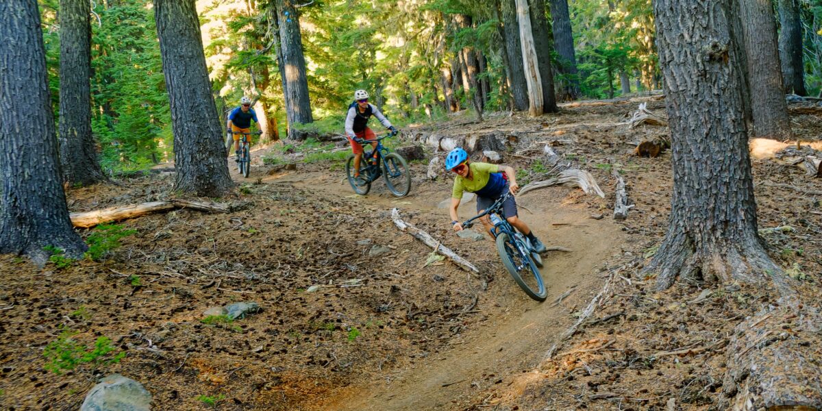 3 people cycling through the woods on a dirt trail