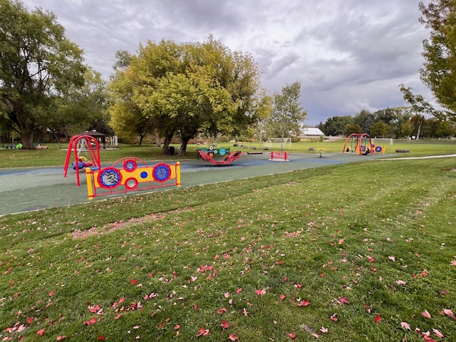 picture of a green space with playground equipment with trees in the background