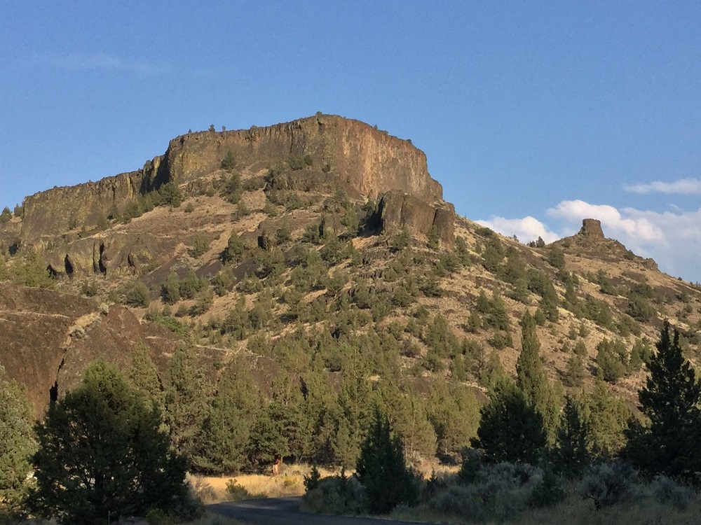 Rocky mountain slope with trees and a clear blue sky.