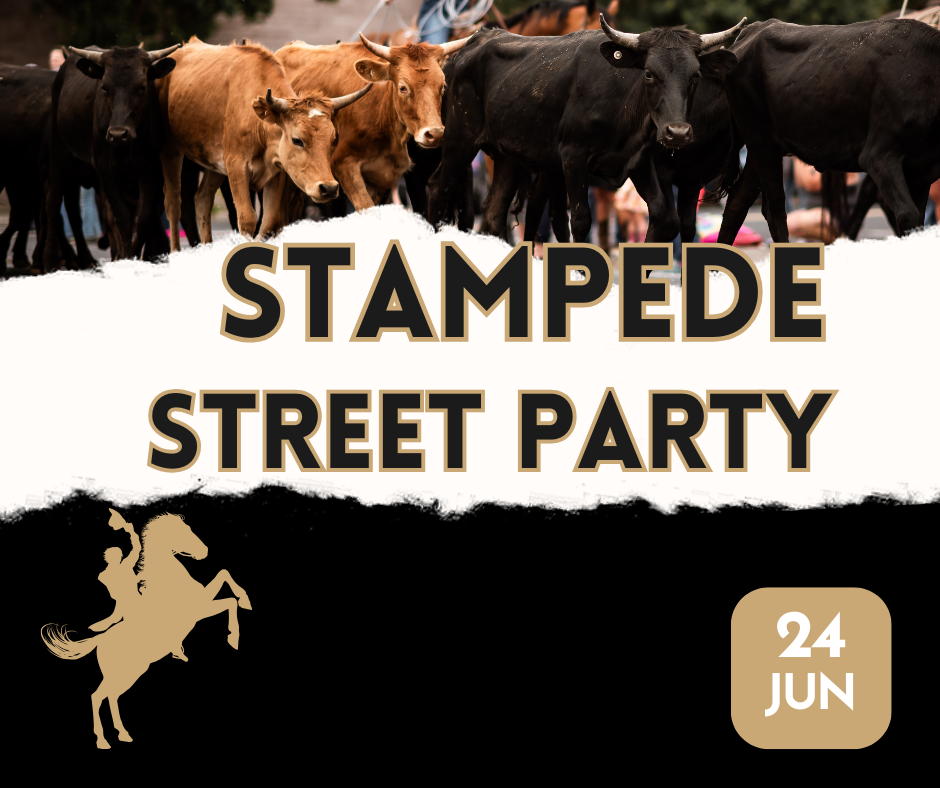 Stampede Street Party with black cows