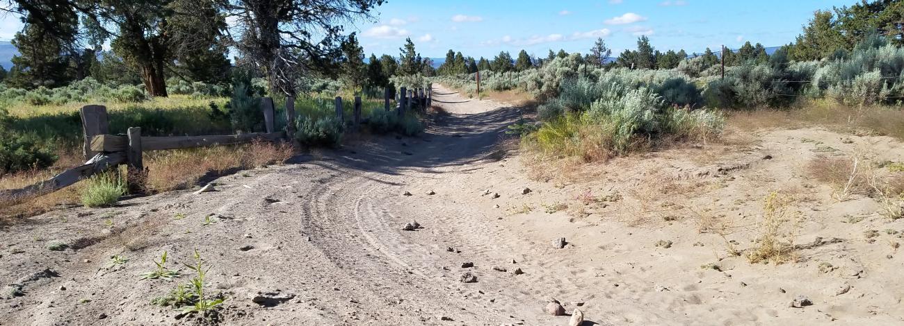 picture of a dirt trail with a wooden fence along the left of the trail