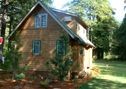 A small wooden house with green trim in a forest.