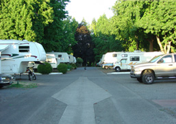 Campground with RVs parked, road, and arrow pointing.