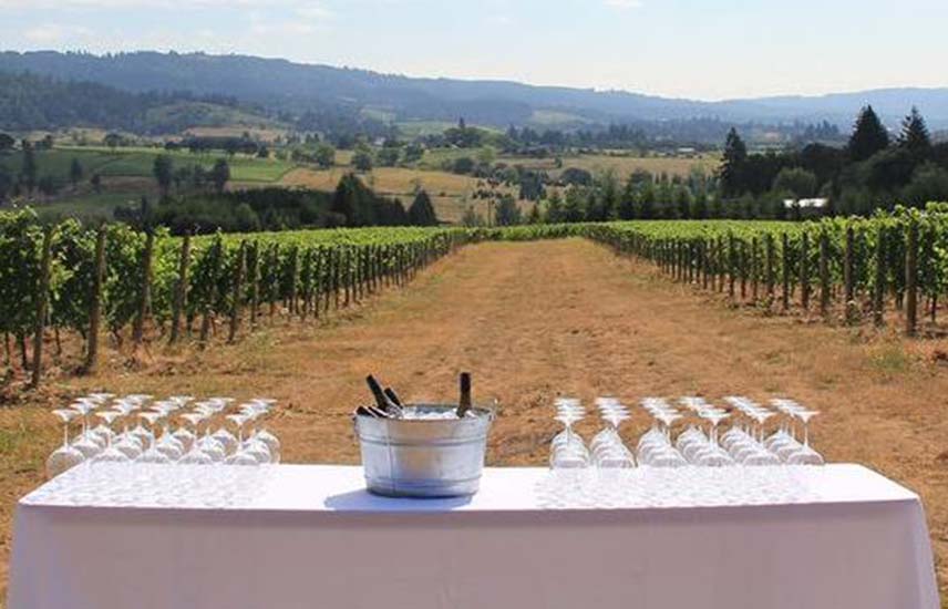 long table with wine glasses displayed and large tub of ice with bottles of wine in a vineyard