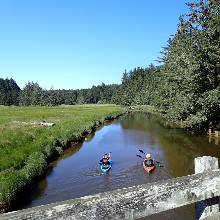two people kayak on a river with woodlands to the left and forested area to the right