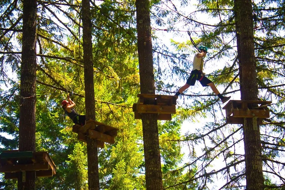two people on an adventure course in the trees