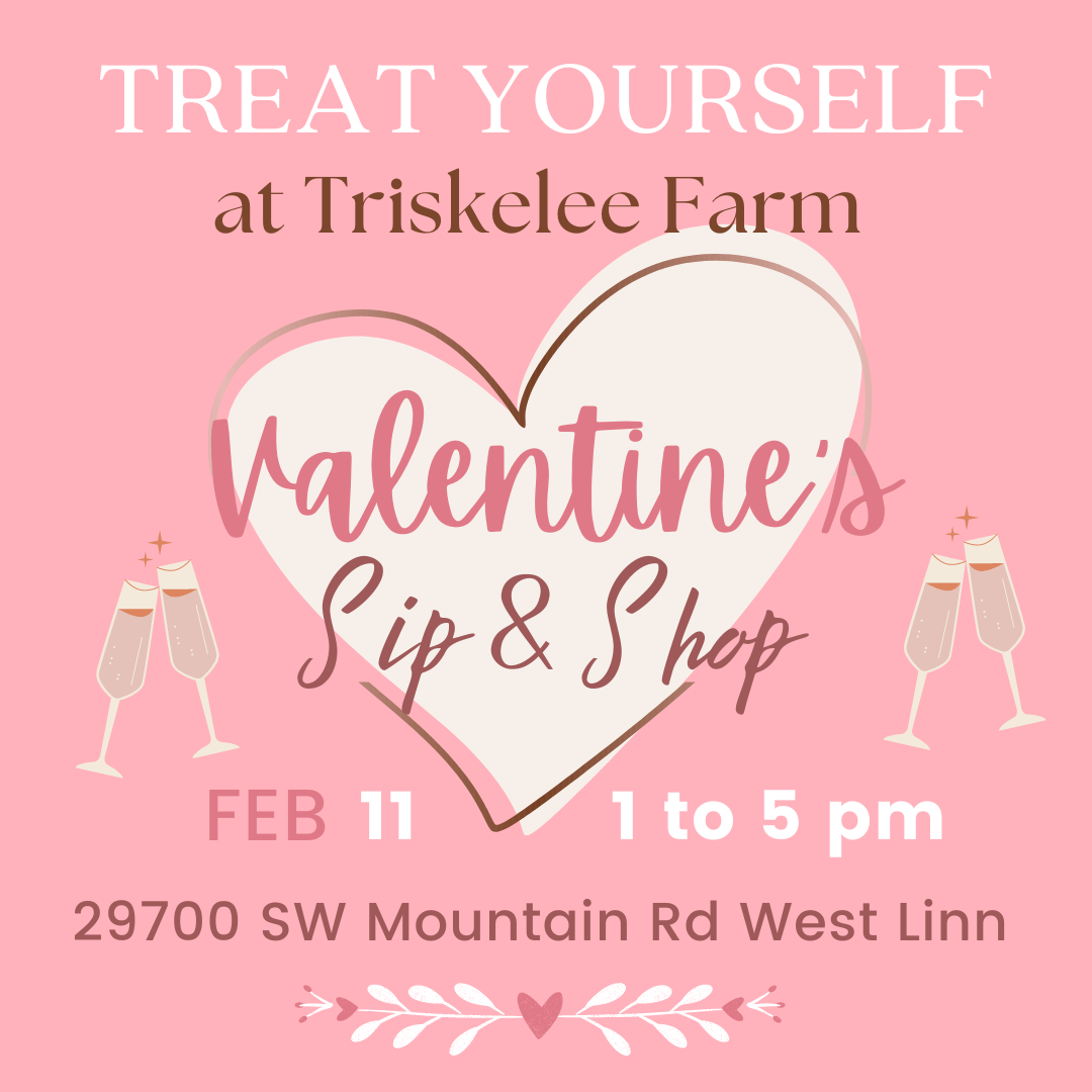 poster for Triskelee Farm Treat Yourself Sip & Shop Market