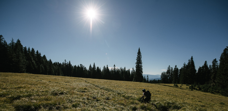 mountain biker rides trail through meadow