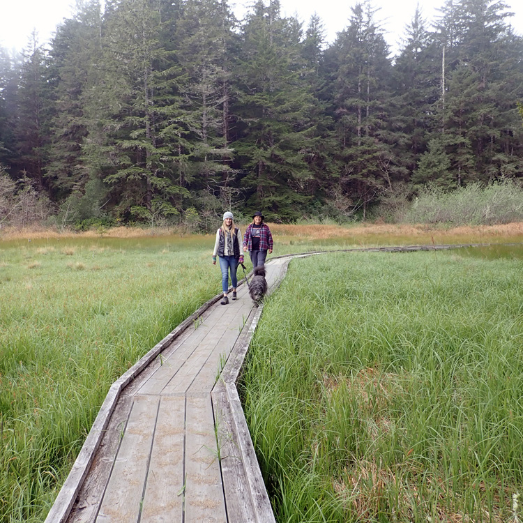 two people and dog on leash walk on boardwalk trail through tall grasses