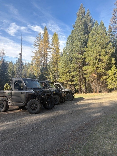 OHV parked on gravel area near evergreen trees