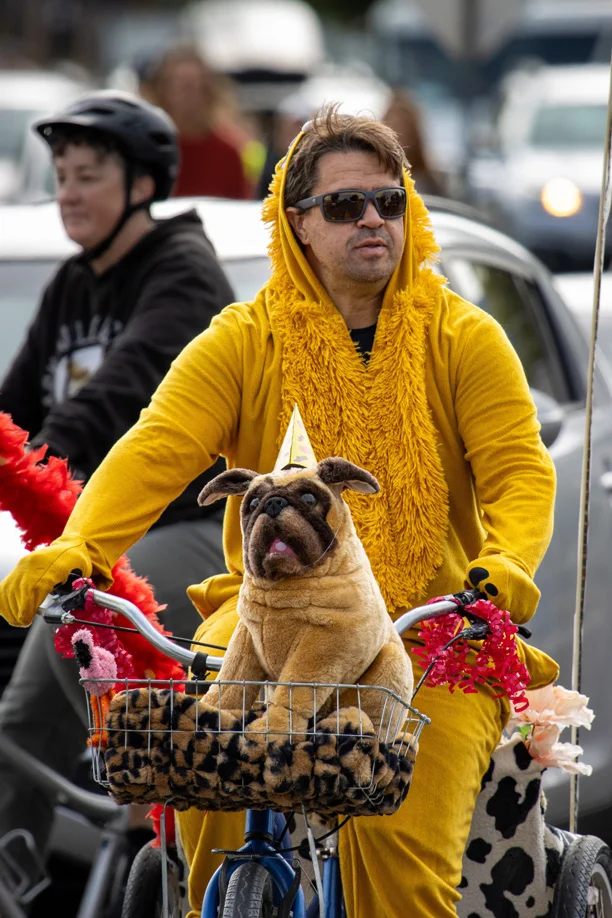 Man dressed in chicken onesie rides a bicycle with a plush toy dog in the bike's basket.