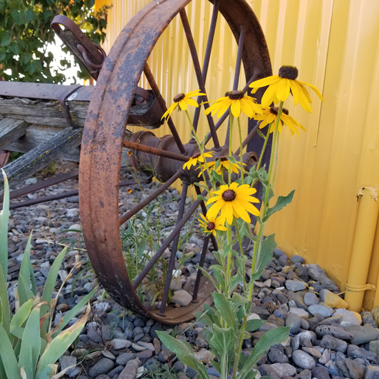 metal wagon wheel with flowers