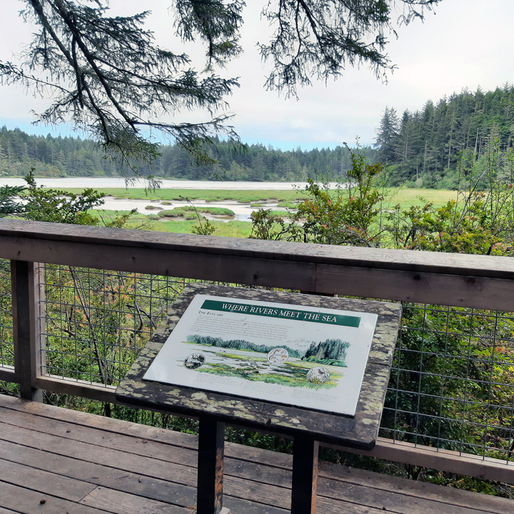 viewpoint of wildlife reserve with informational plaque