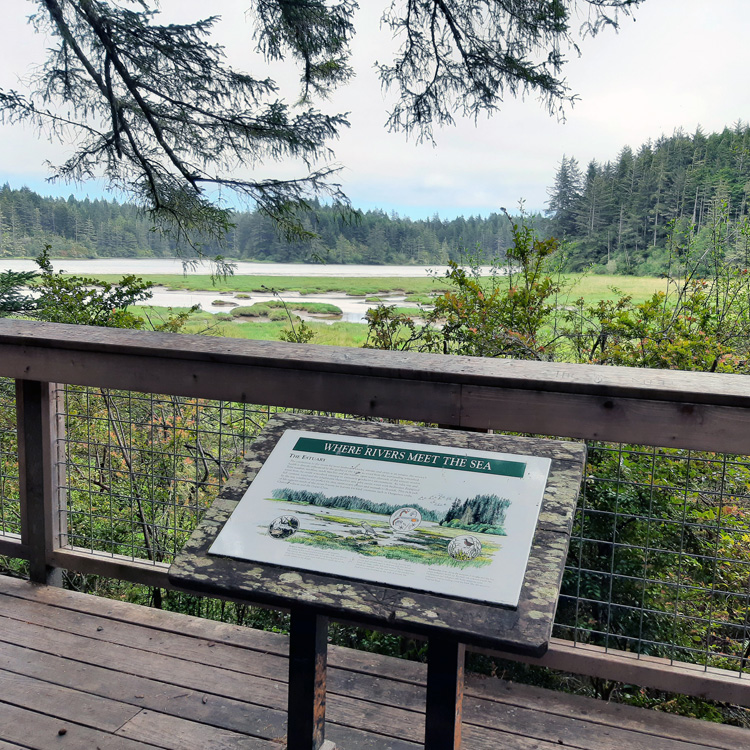 G2_South-Slough-Reserve_SSNERR_HiddenCreekTrail_overlook_2021.jpg