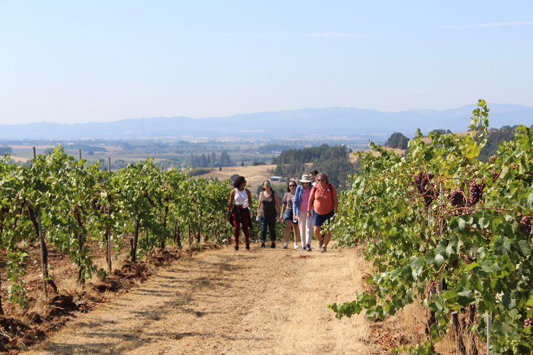 Father’s Day Guided Vineyard Hike at Yamhill Valley Vineyards