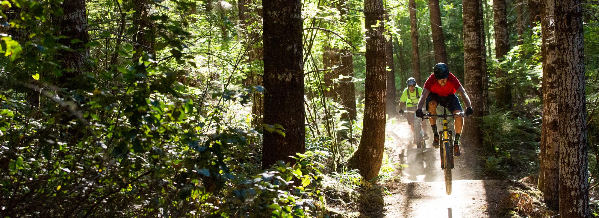 Two cyclists ride on a forest trail with dense trees.