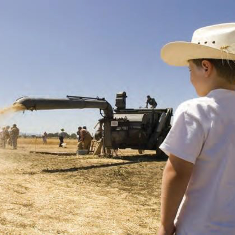 child wearing cowboy hat watches antique farm equipment harvest a field