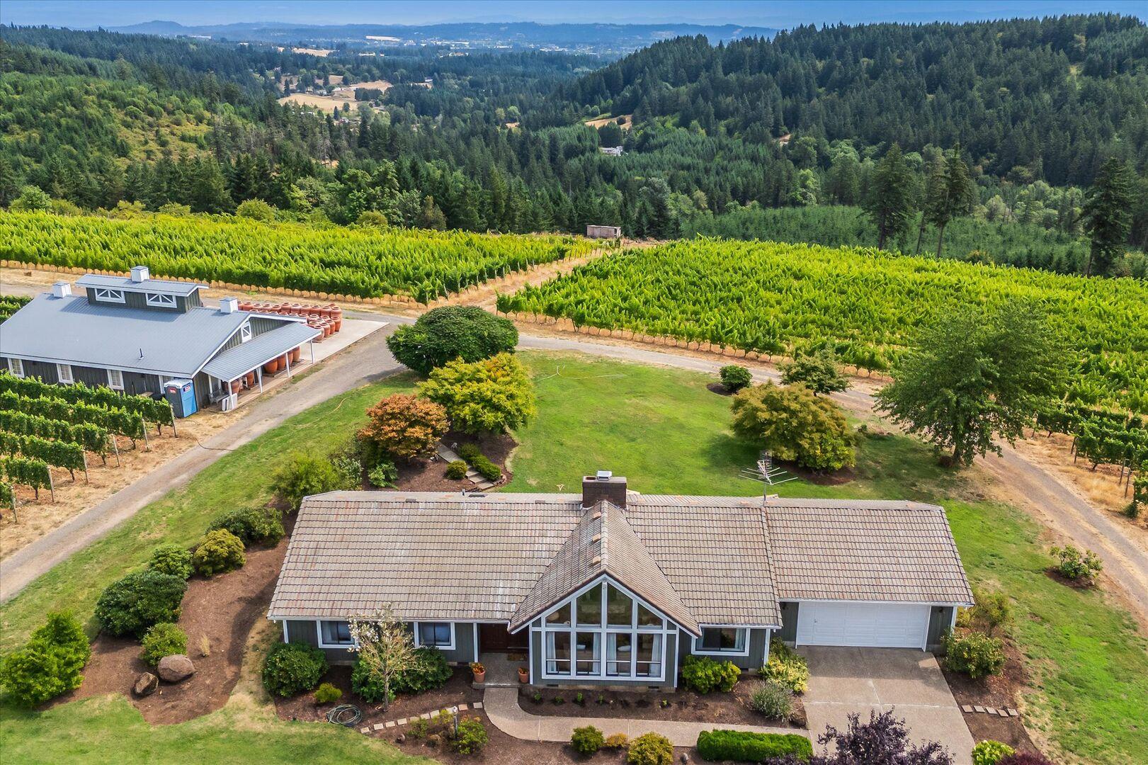 Aerial photo of rural property with single-story tiled-roof house in front and large barn amid vineyard rows behind.