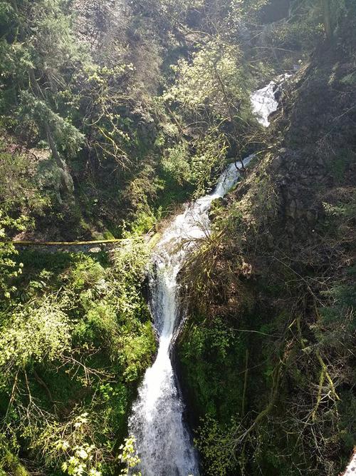 Waterfall in the Columbia River Gorge