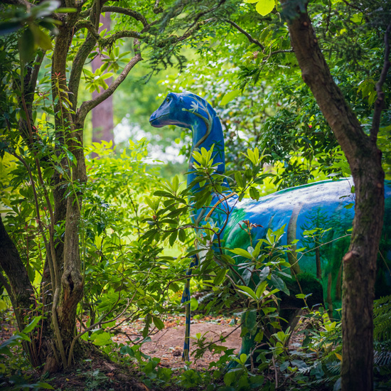 blue sculpture of brontosaurus nestled in greenery of botanical garden