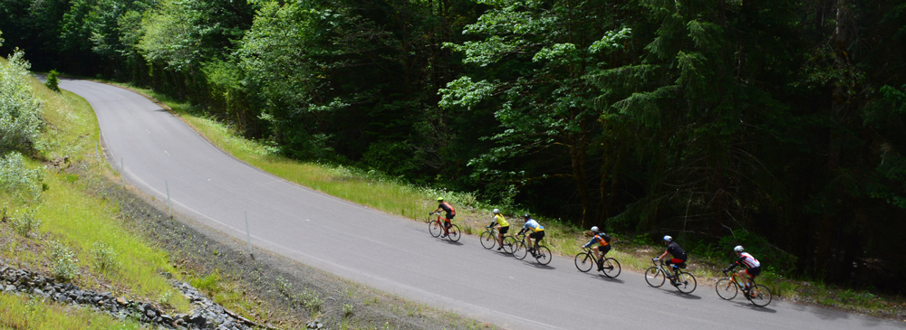 Six people ride bicycles on a scenic road.