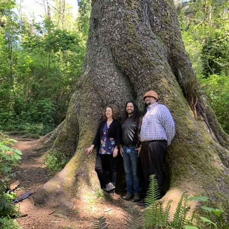 three people pose in front of large sitka spruce tree