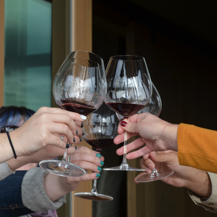 close up of hands holding wine glasses and toasting