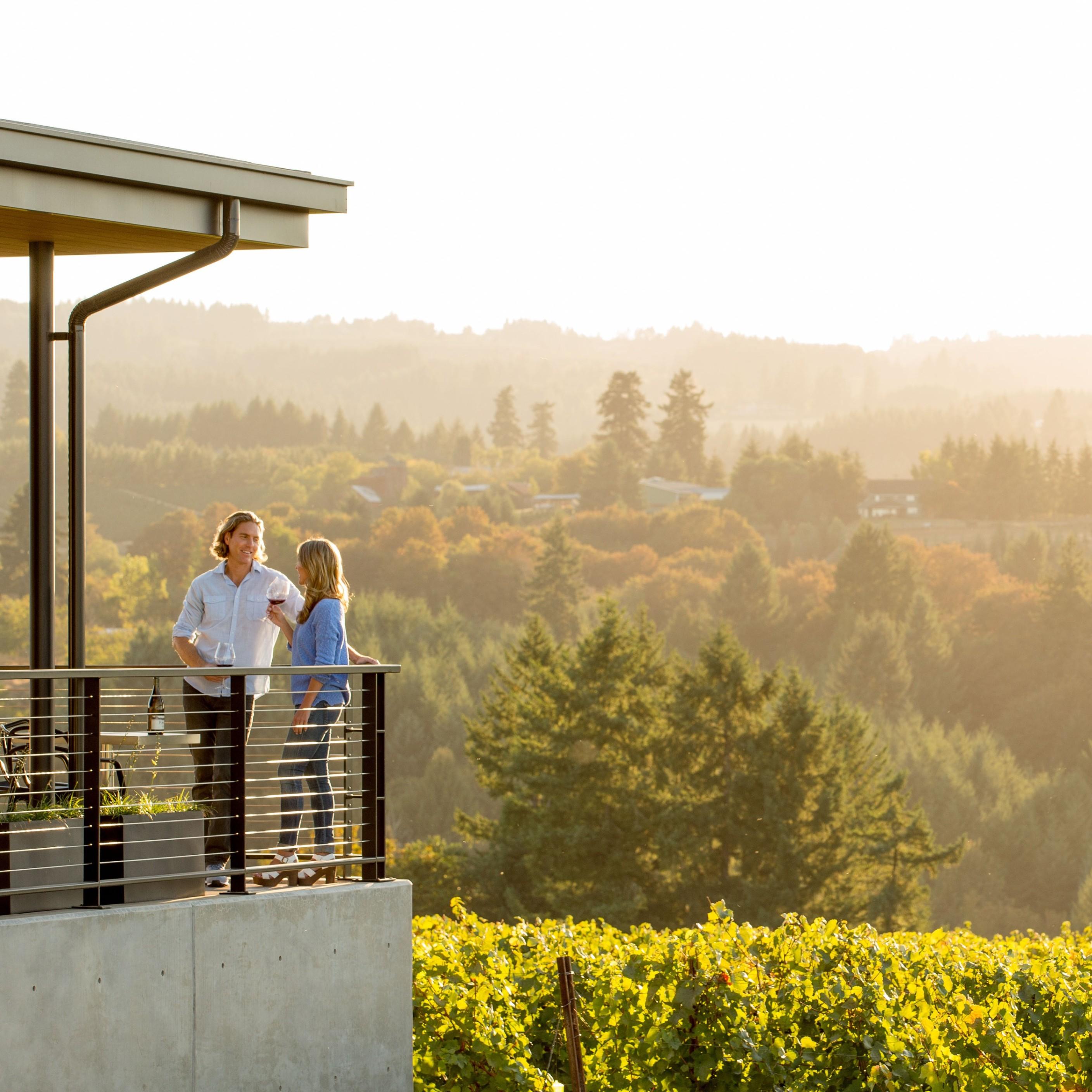 Image for Tunes and Terroir
