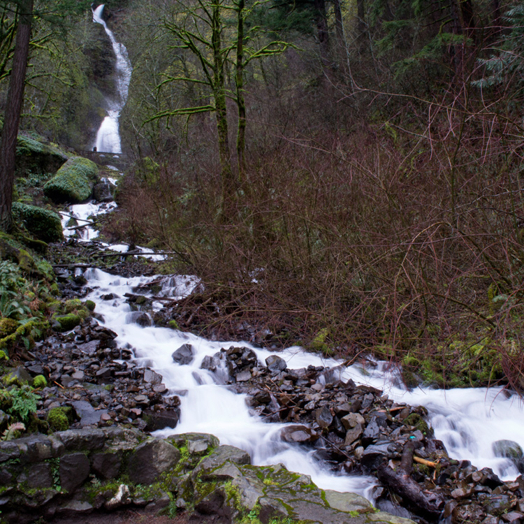 waterfall running through forested landscape