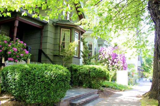 two story home with flowers and bushes on either side of front porch