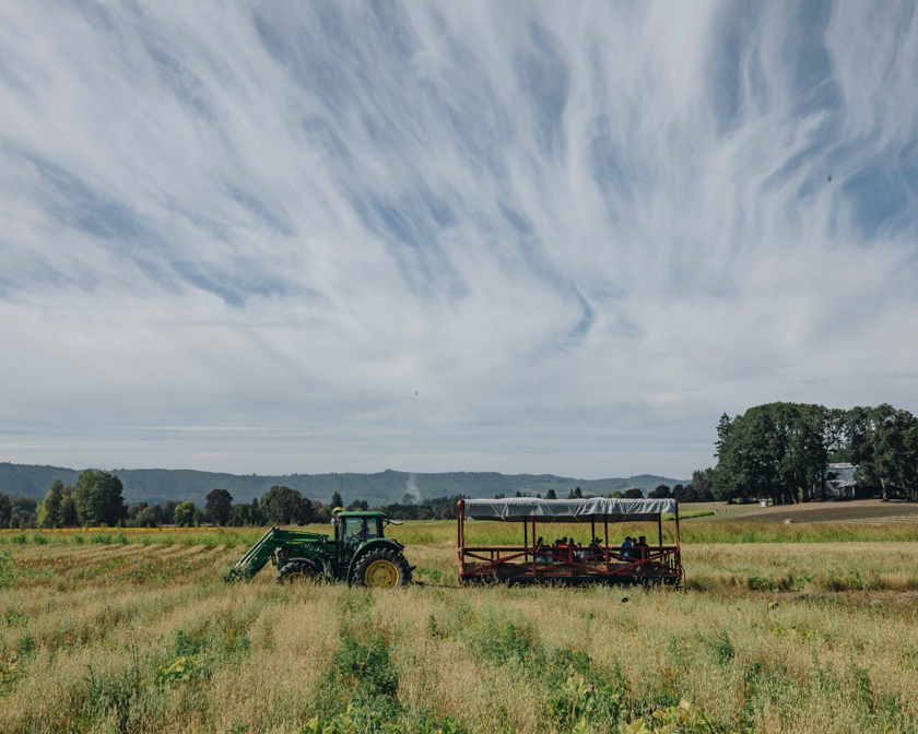 tractor with trailer in a field