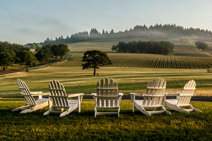 five Adirondack chairs overlooking a vineyard in Oregon's Willamette Valley