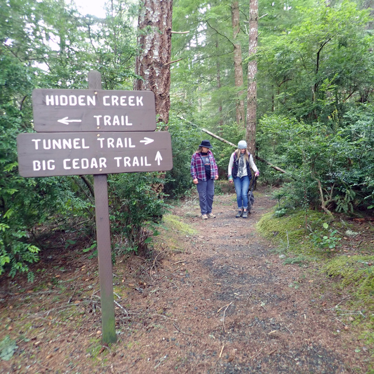 sign for two trails posted along wooded trail with two hikers and leashed dog in background