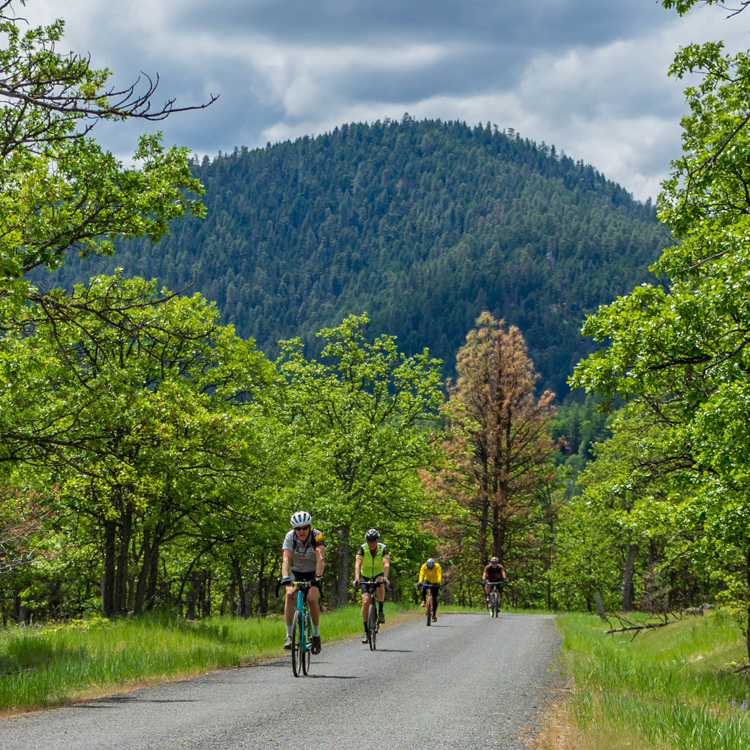 Image courtesy of Cycle Oregon