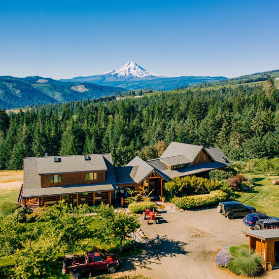 aerial view of lodge surrounded by evergreen trees with a mountain in view