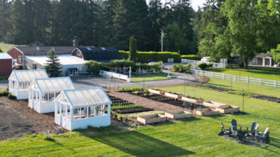 A garden area featuring three small greenhouses, multiple raised planting beds, and neatly organized rows of plants.