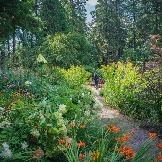 person walking on trail surrounded by flowers and trees