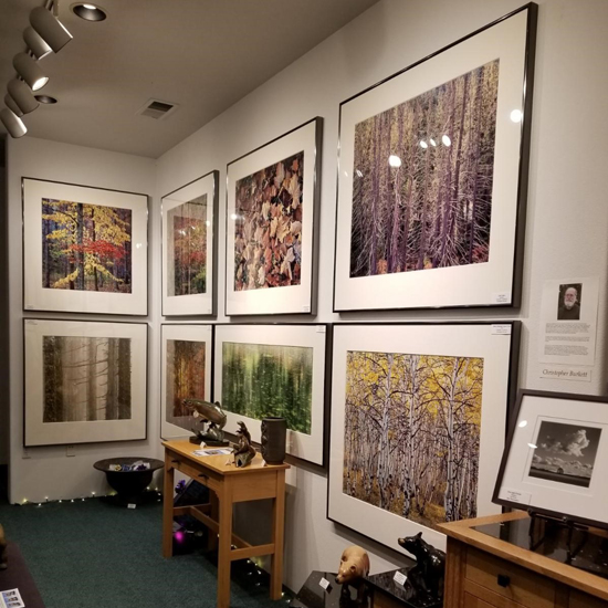 large framed photographs hang on wall of gallery