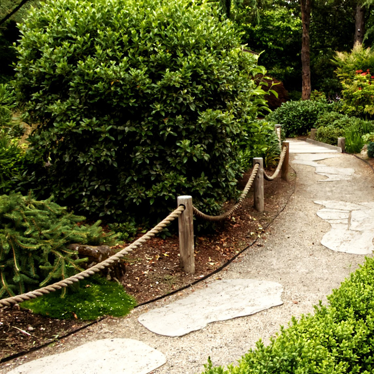 walking path in Japanese style garden